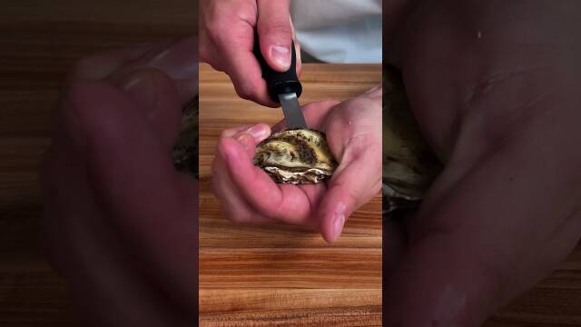 How to Shuck Oysters and Serve Them on Ice recipe thumbnail