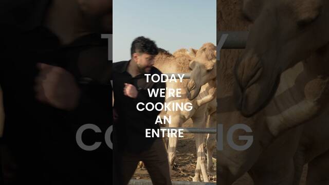 Whole Camel with Rice and Desert Truffles recipe thumbnail
