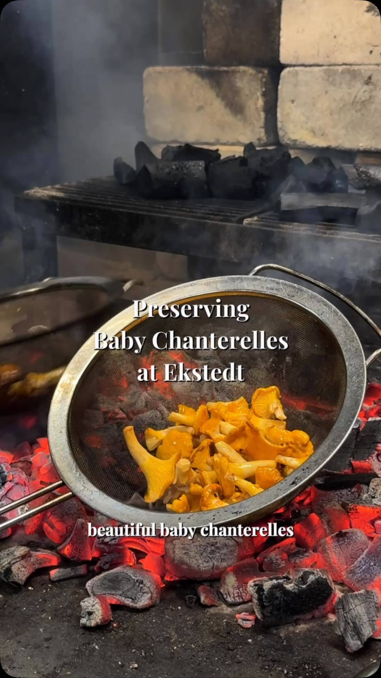 "Herb-Infused Olive Oil Preserved Santorellies: A Rustic Delight" recipe thumbnail