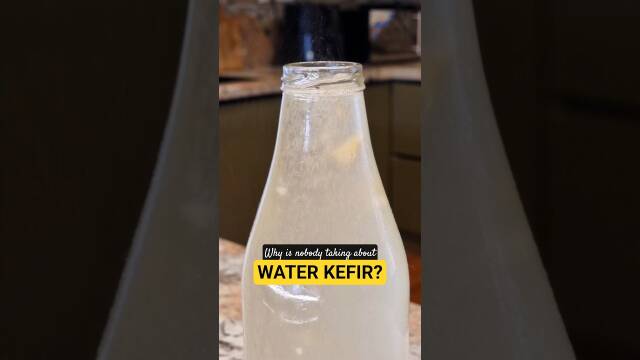 This Drink Has More Probiotics Than Yogurt! recipe thumbnail